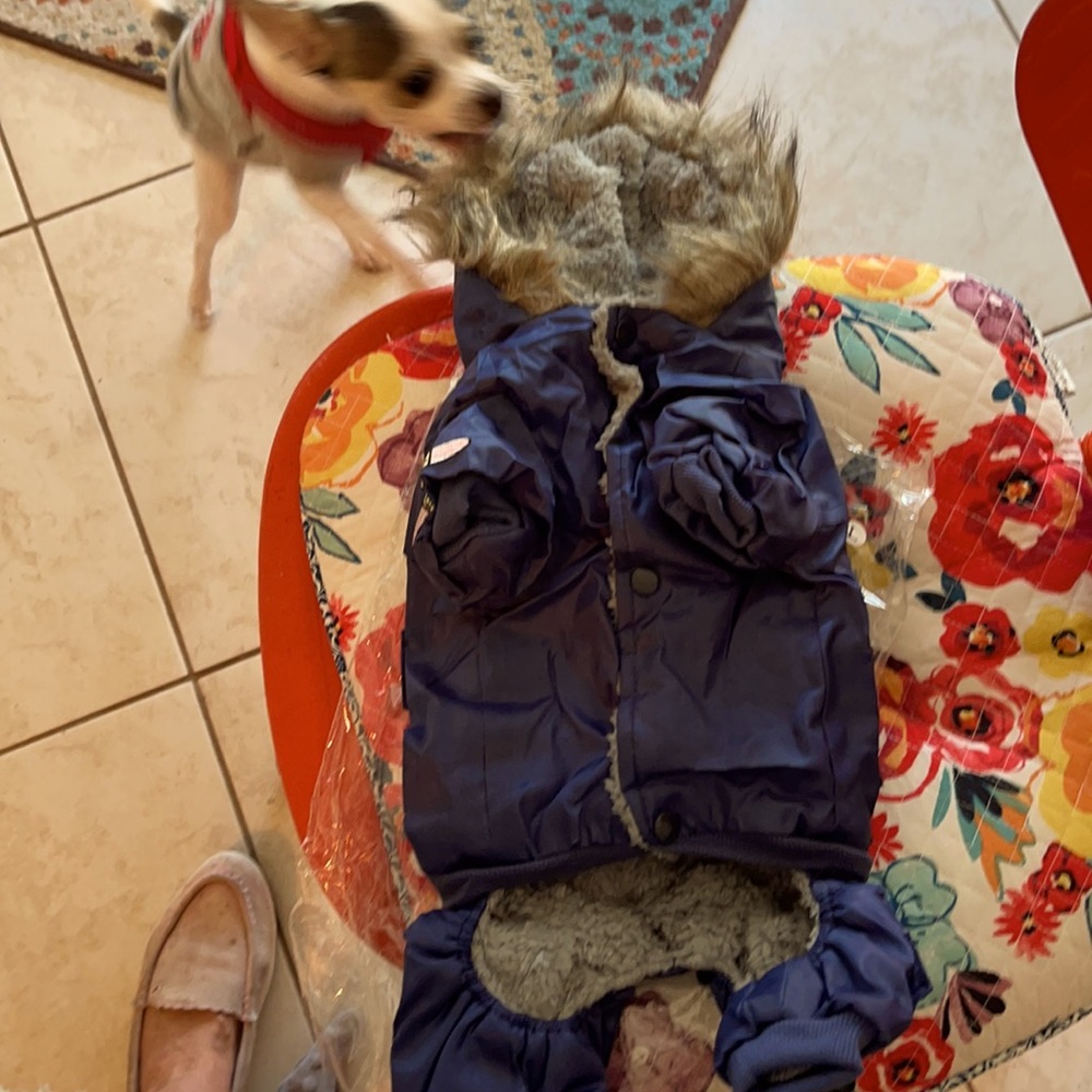 4 dog jackets selling each jacket for $10